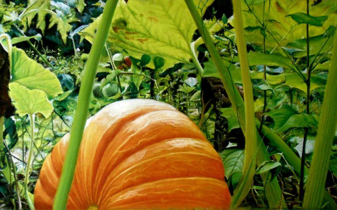 Potiron sous les feuilles (vendu)