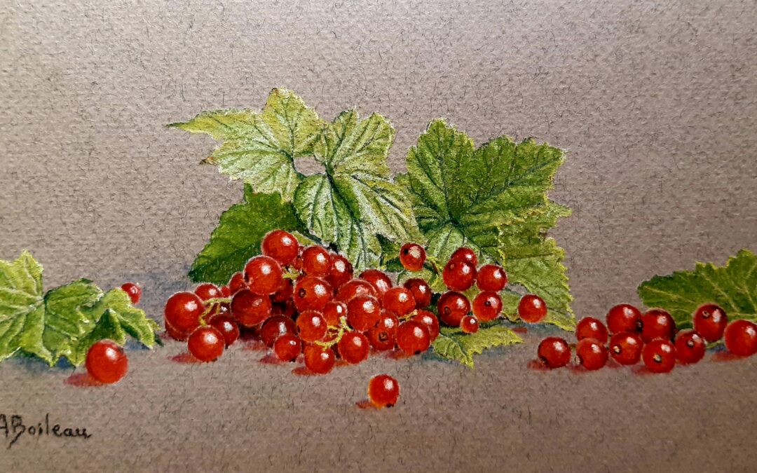 Groseilles (vendu)
