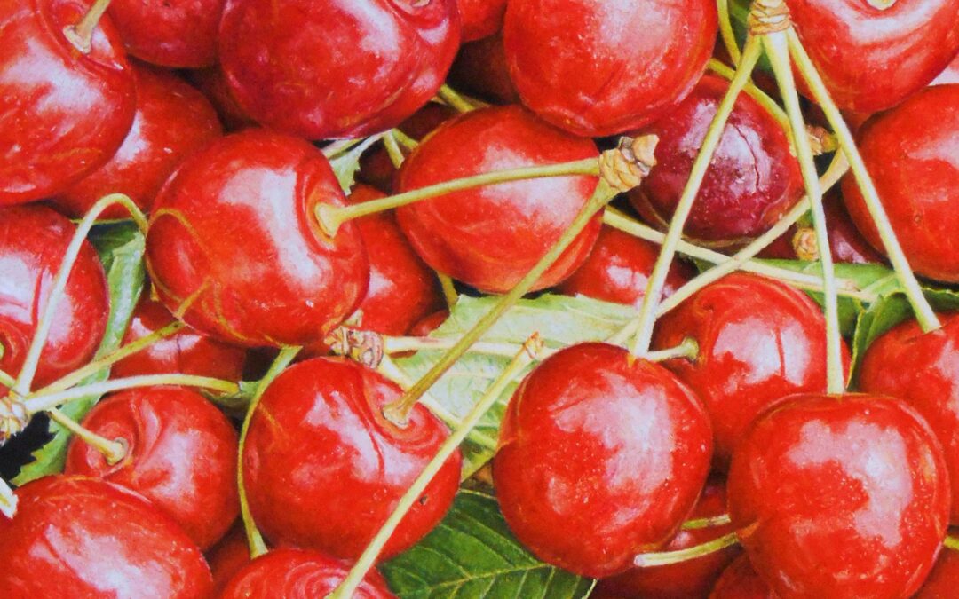 Cerises (vendu)