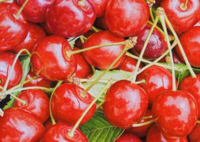 Cerises (vendu)