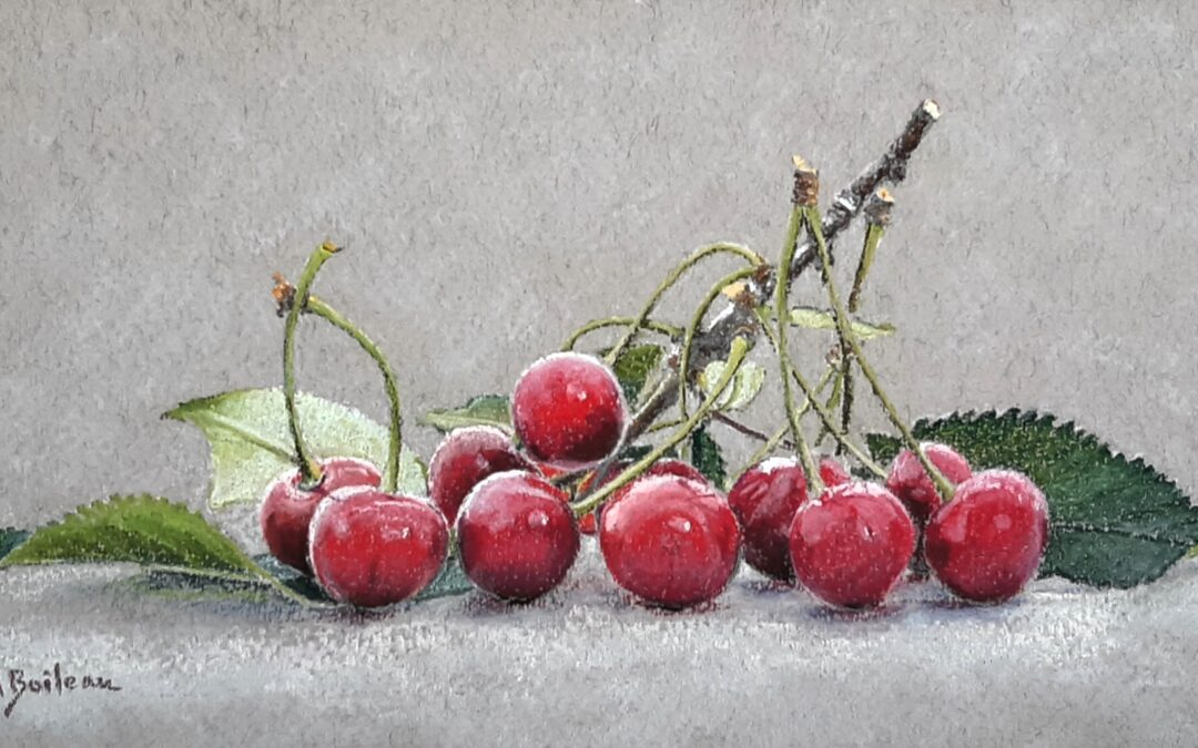 Cerises (vendu)
