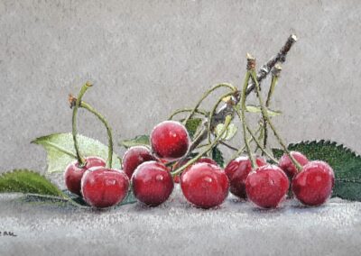 Cerises (vendu)