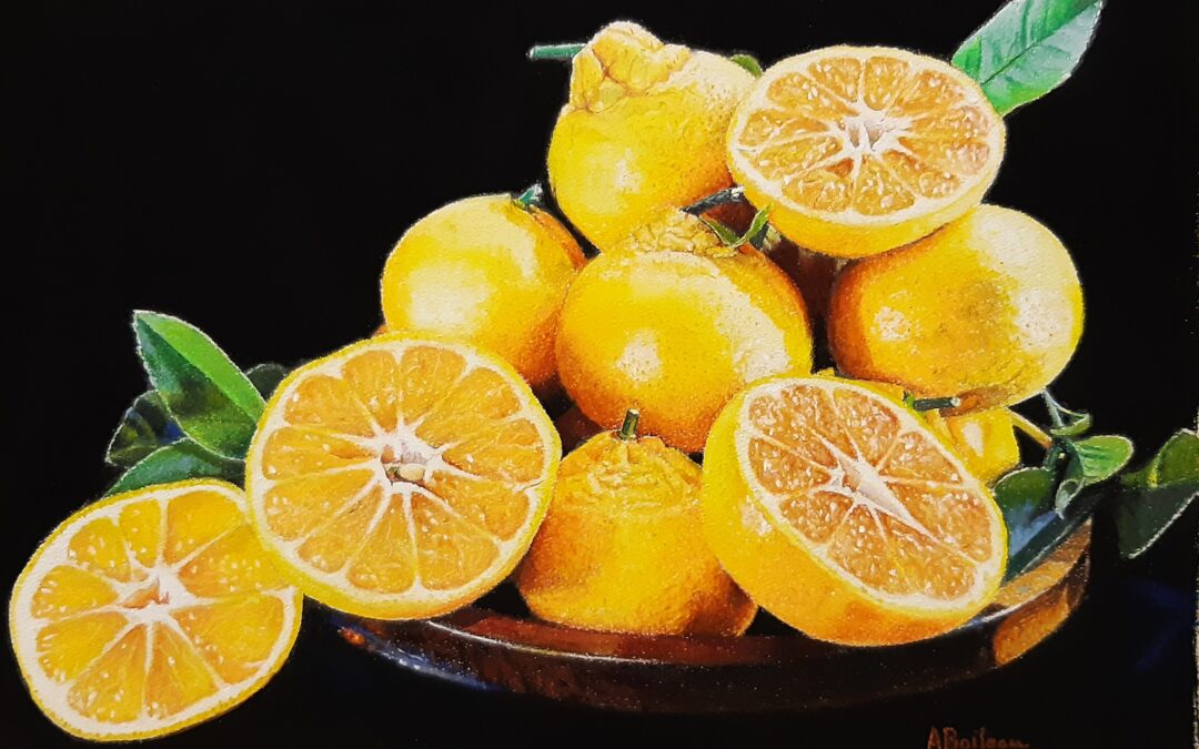 Citrons (vendu)