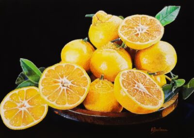 Citrons (vendu)