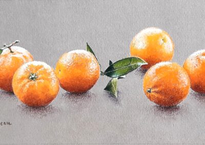 Clémentines (vendu)