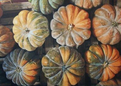 Courges sur cageot (vendu)