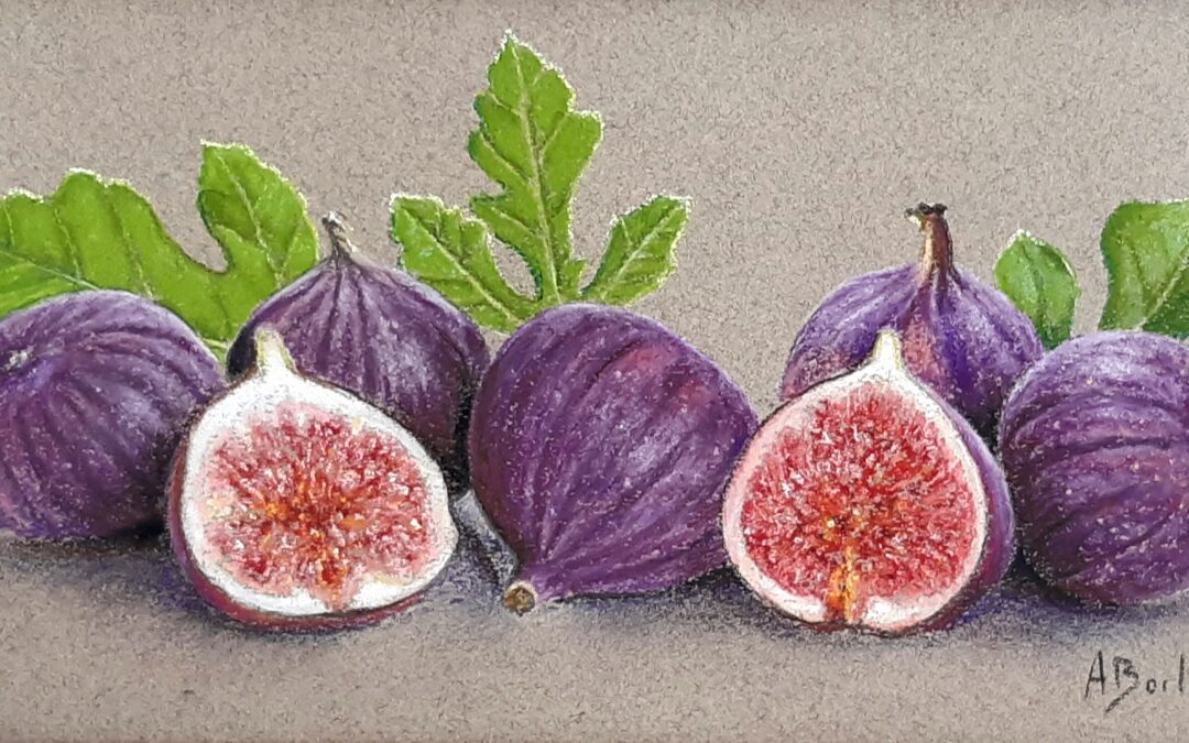 Figues (vendu)
