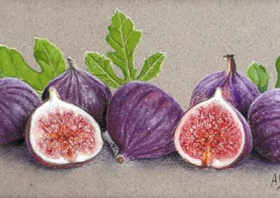 Figues (vendu)