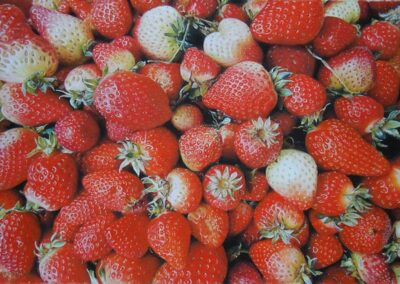 Fraises en vrac (vendu)