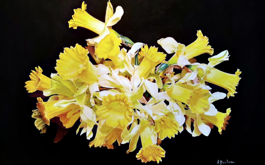 Jonquilles