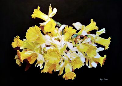 Jonquilles