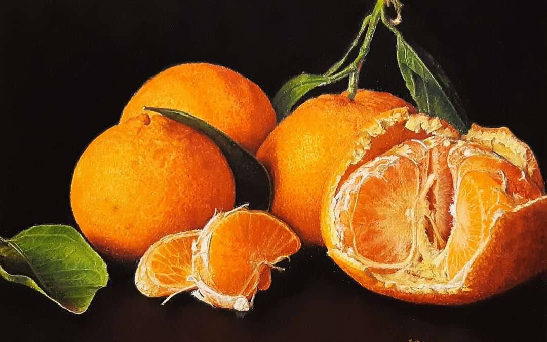 Mandarines (vendu)