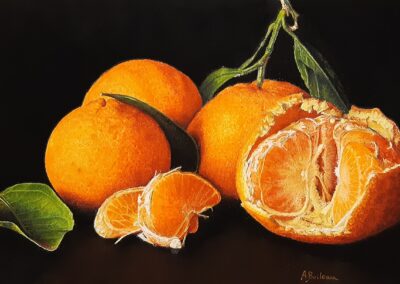 Mandarines (vendu)