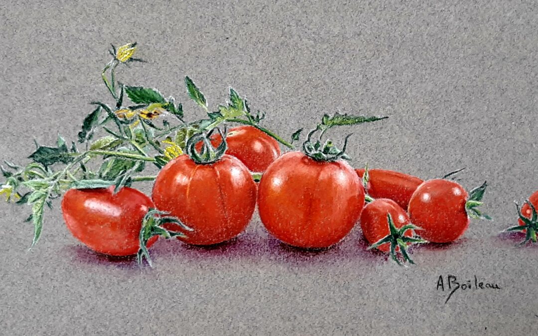 Tomates (vendu)