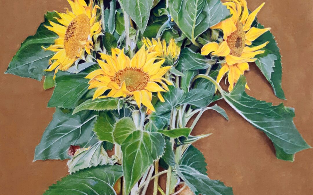 Tournesols