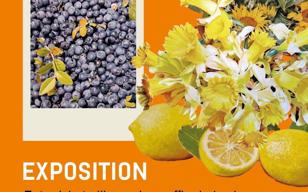 Exposition La Maison de la Bresse