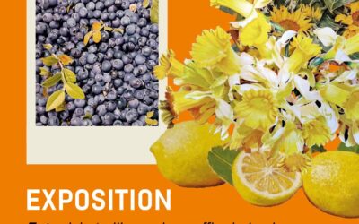 Exposition La Maison de la Bresse