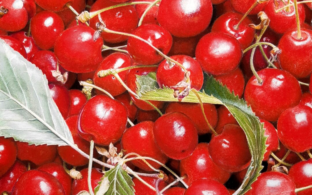 Cerises n°2 (vendu)
